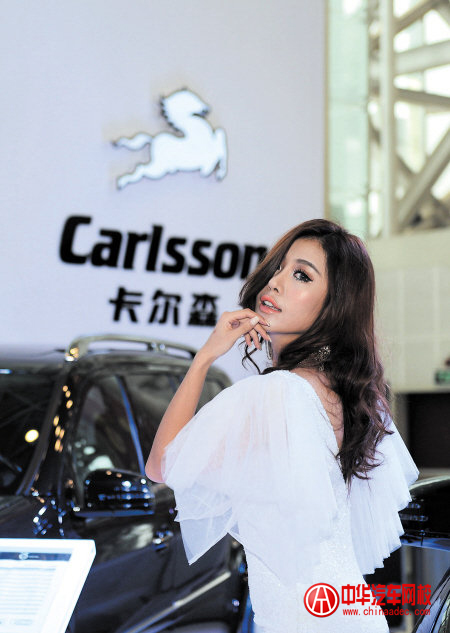 2013湖南車展美女